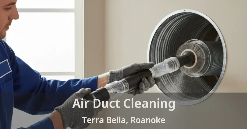 Air Duct Cleaning Terra Bella, Roanoke - TX
