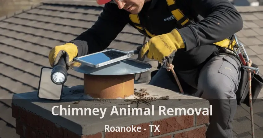 Chimney Animal Removal Roanoke - TX