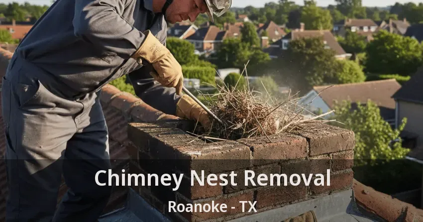 Chimney Nest Removal Roanoke - TX