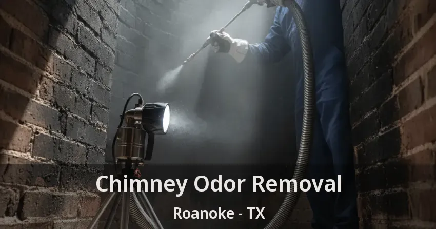 Chimney Odor Removal Roanoke - TX