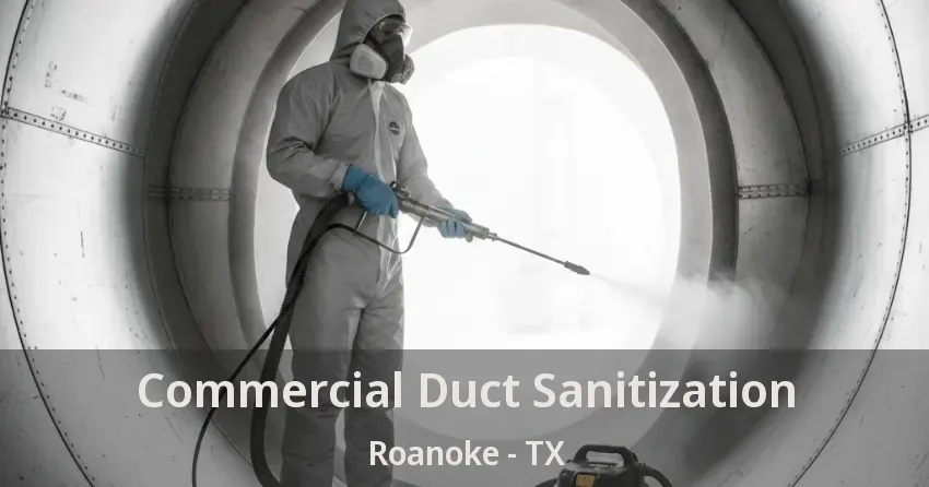 Commercial Duct Sanitization Roanoke - TX