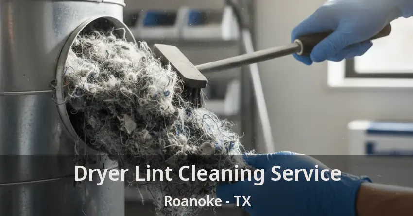 Dryer Lint Cleaning Service Roanoke - TX