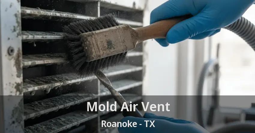 Mold Air Vent Roanoke - TX Mold Air Vent Roanoke - TX