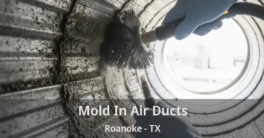 Mold In Air Ducts Roanoke - TX
