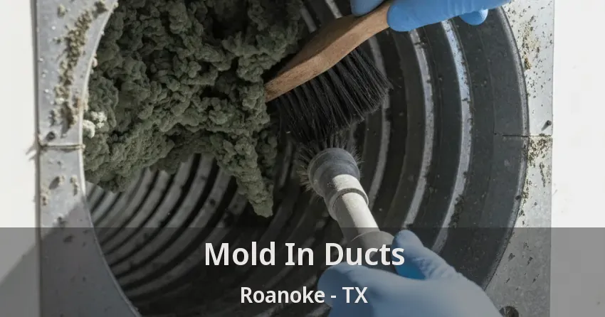 Mold In Ducts Roanoke - TX