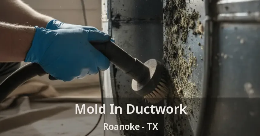 Mold In Ductwork Roanoke - TX