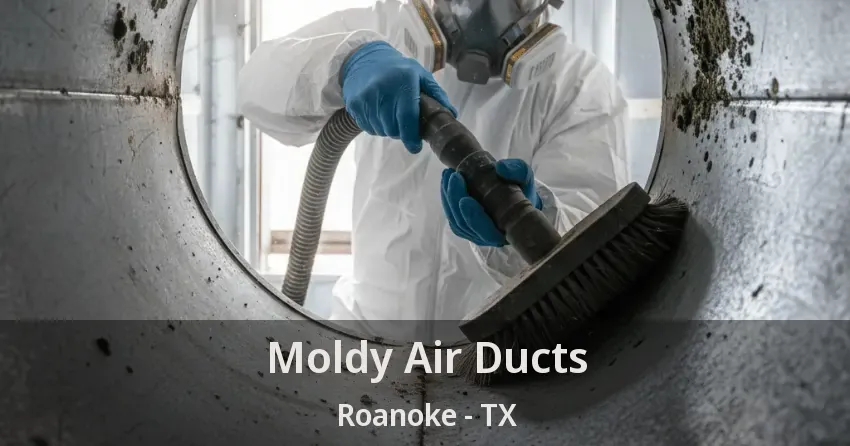 Moldy Air Ducts Roanoke - TX